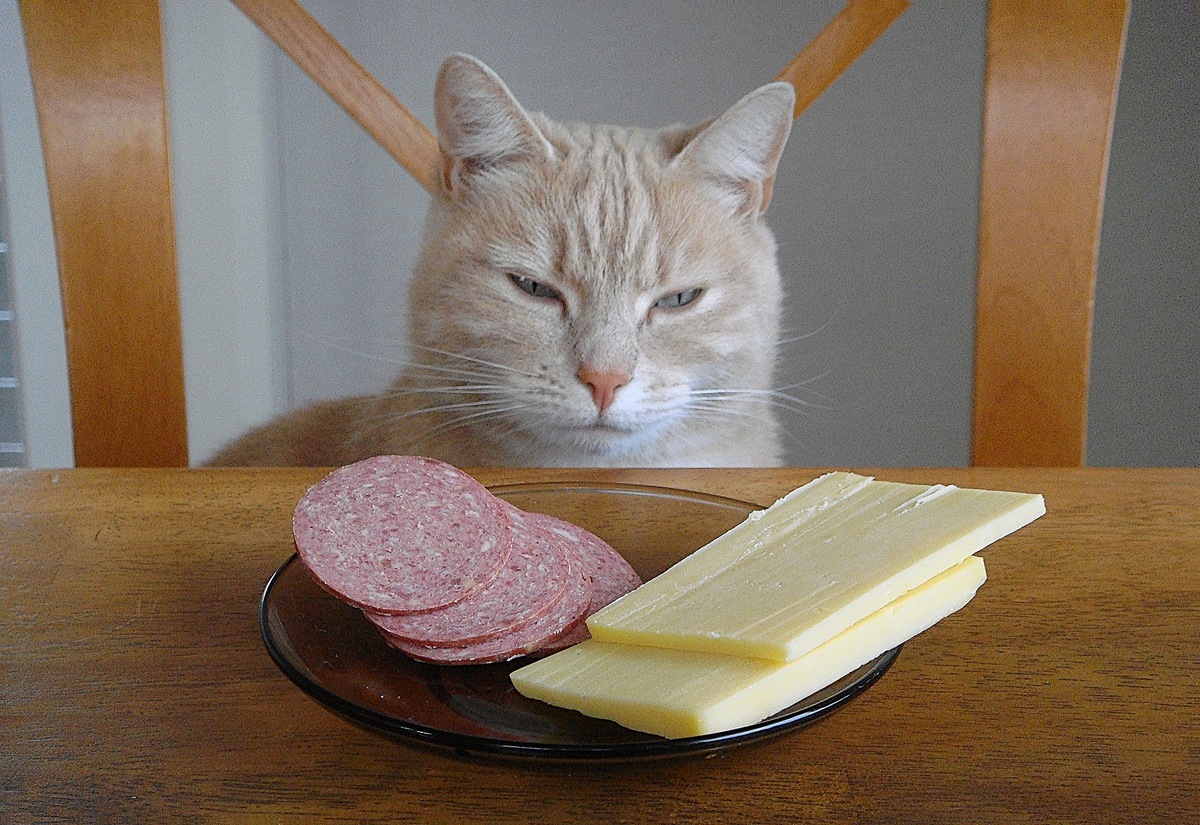 "Опять сыр с колбасой..." (завтрак)